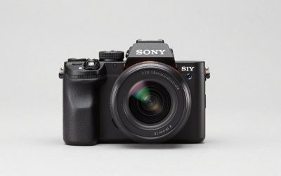 Best Sony Cameras for Wedding Photography: 5 Compared (2026)
