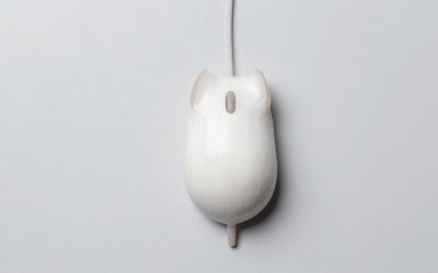 Best Vertical Mice for Comfortable All-Day Use: 9 Compared (2026)